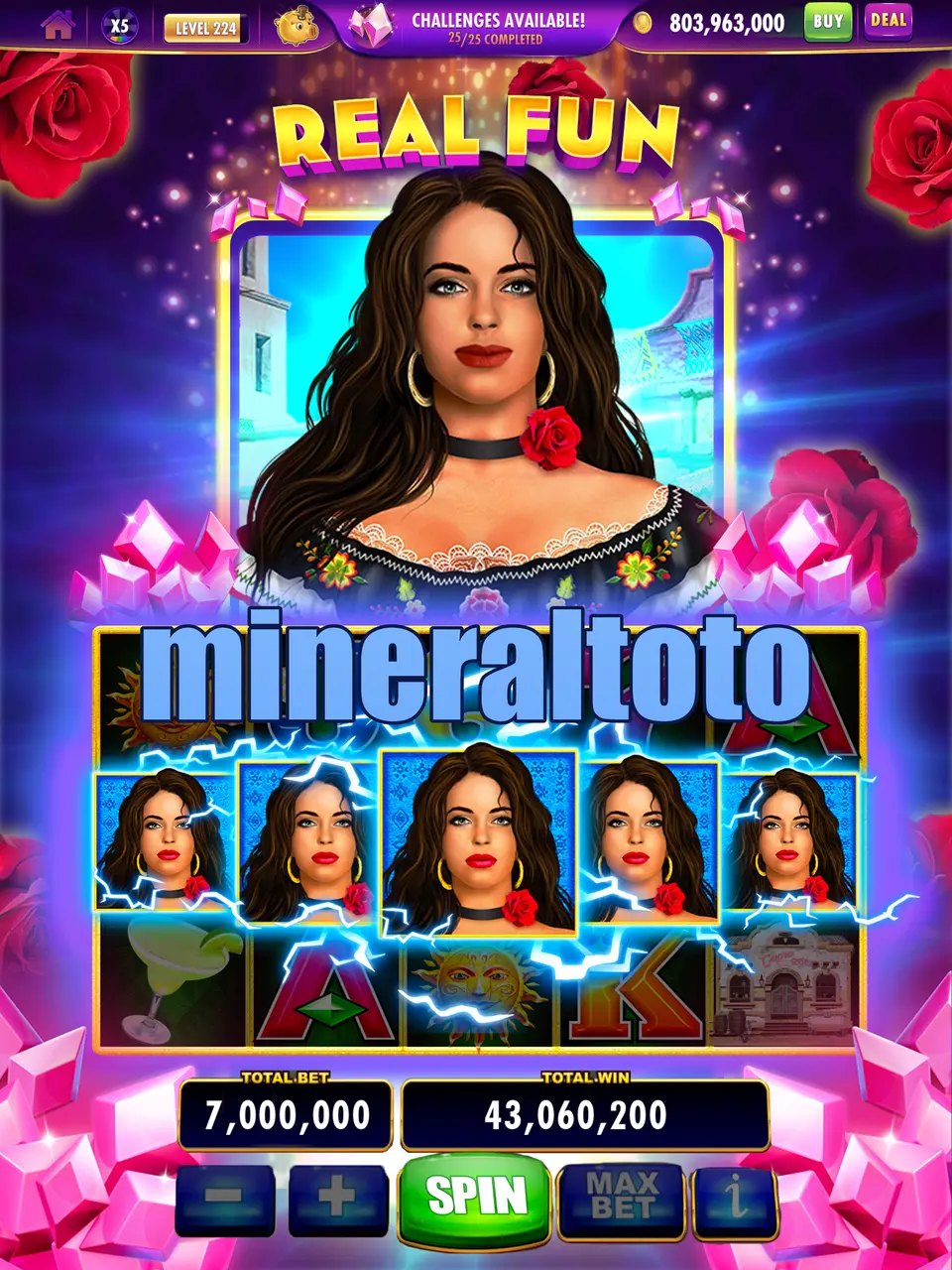 mineraltoto APK